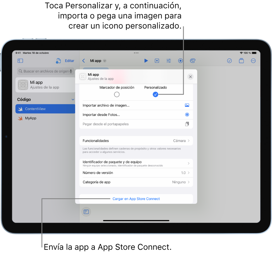 La ventana “Ajustes de la app” de una app. Puedes usar los controles de esta ventana para identificar tu app y cargarla en App Store Connect.