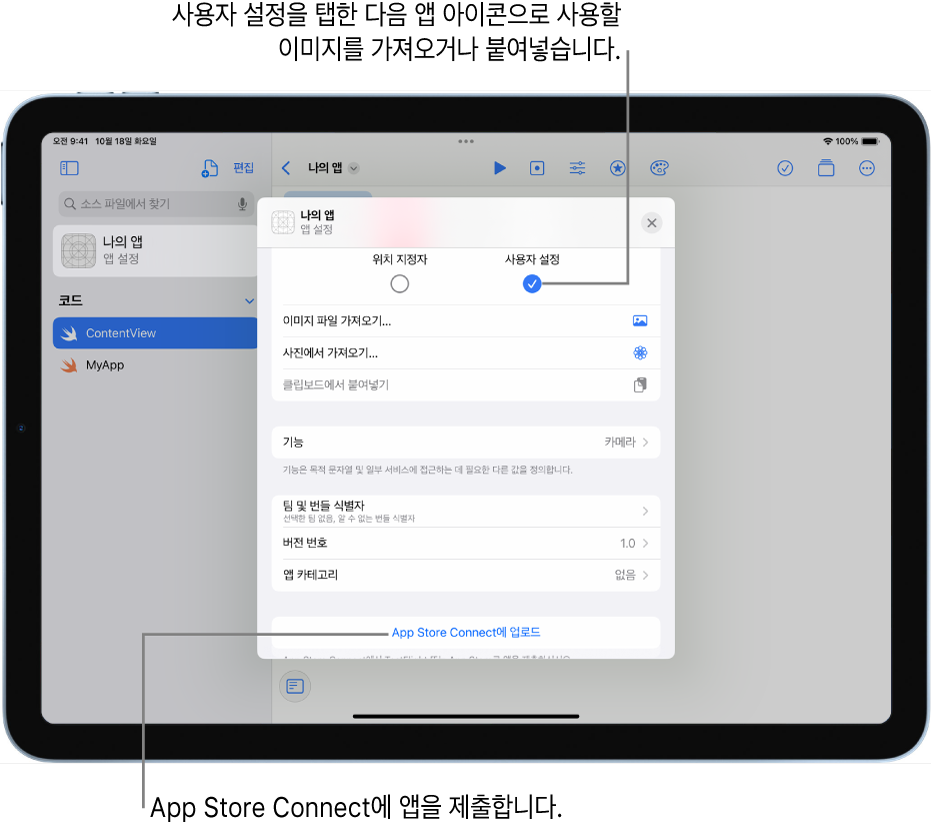 앱의 앱 설정 윈도우. 이 윈도우에서 제어기를 사용하여 앱을 식별하고 App Store Connect에 앱을 업로드할 수 있음.
