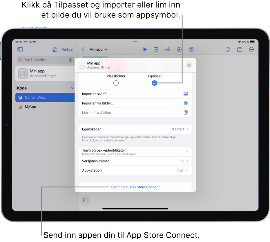 Appinnstillinger-vinduet for en app. Du kan bruke kontrollene i dette vinduet til å identifisere appen din og til å laste den opp til App Store Connect.