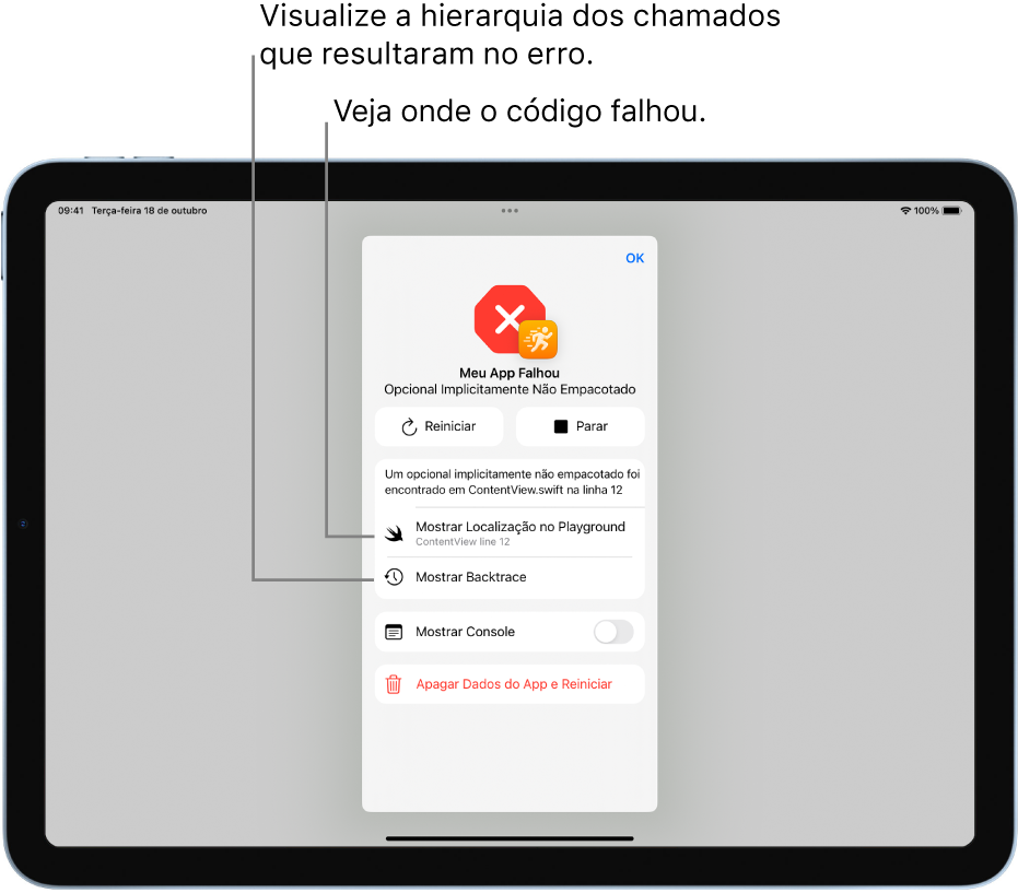 Tela mostrando informações sobre uma falha ocorrida durante a execução do app.