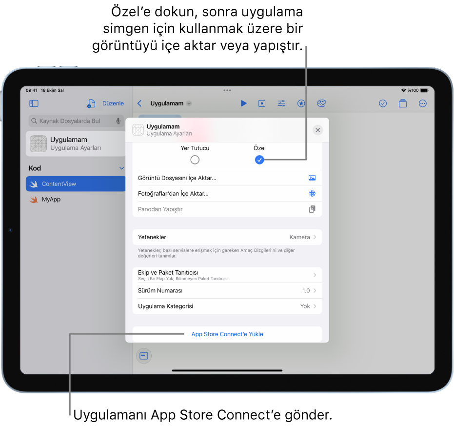 Bir uygulama için Uygulama Ayarları penceresi. Uygulamanı tanımlamak için bu penceredeki denetimleri kullanabilir ve onu App Store Connect’e yükleyebilirsin.
