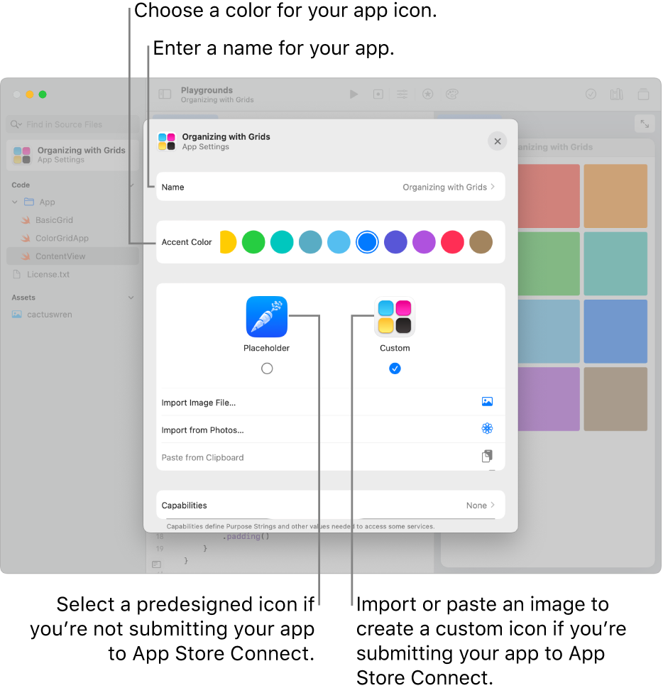 The App Settings for an app, showing the name of the app and the colors and art that can be used to create the app icon.