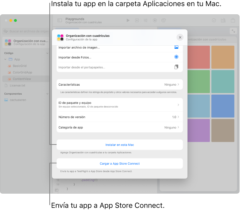 La ventana Configuración de app de una app que organiza el contenido utilizando una visualización de cuadrícula. Puedes usar los controles de esta ventana para instalar tu app en la carpeta Aplicaciones de tu Mac, y enviar tu app a App Store Connect.