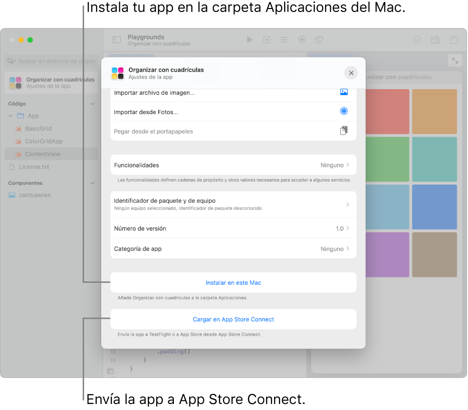 La ventana “Ajustes de la app” de una app que organiza el contenido usando una vista de cuadrícula. Puedes usar los controles de esta ventana para instalar tu app en la carpeta Aplicaciones del Mac y para subirla a App Store Connect.