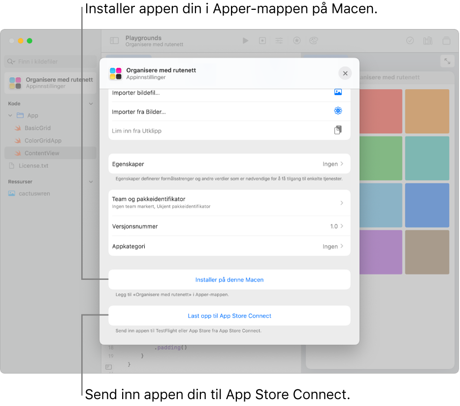 Appinnstillinger-vinduet for en app som organiserer innhold ved hjelp av en rutenettvisning. Du kan bruke kontrollene i dette vinduet til å installere appen din i Apper-mappen på Macen, og til å laste opp appen din til App Store Connect.