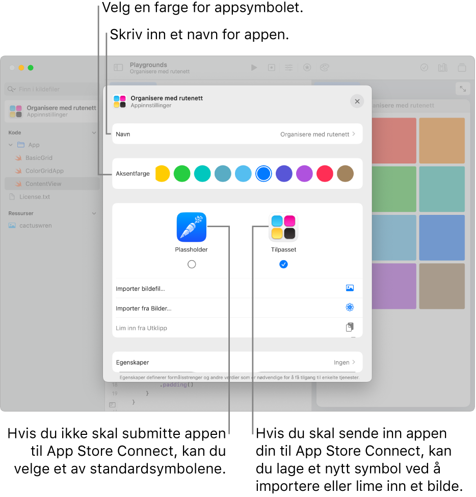 Appinnstillingene for en app, som viser navnet på appen og fargene og kunsten som kan brukes til å opprette appsymbolet.
