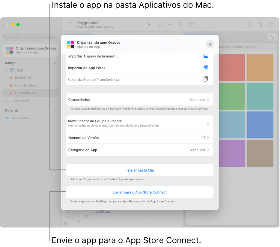 A janela Ajustes do App de um app que usa uma visualização por grade para organizar conteúdo. Você pode usar os controles nessa janela para instalar o app na pasta Aplicativos do Mac e enviar o app para o App Store Connect.