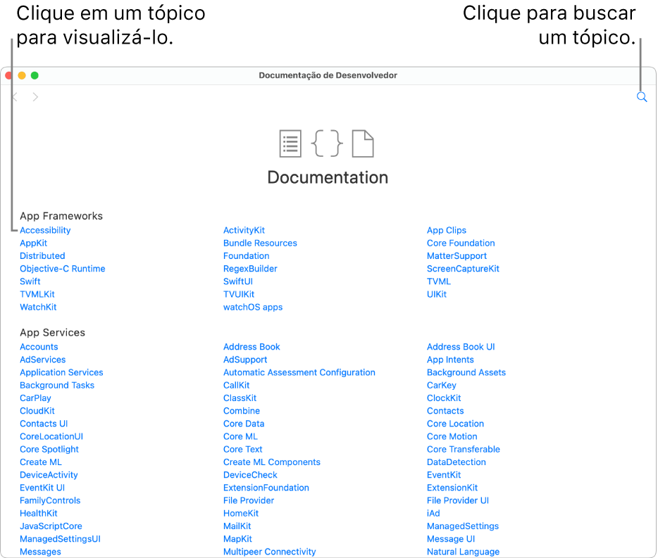 Documentação de Desenvolvedor de Swift, mostrando o índice, o ícone de busca na parte superior direita e os tópicos que você pode clicar para ler.