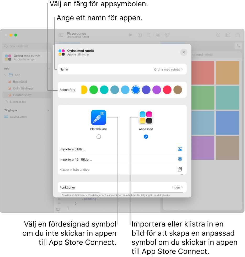 Appinställningarna för en app som visar namnet på appen och färger och bildmaterial som kan användas till att skapa appsymbolen.