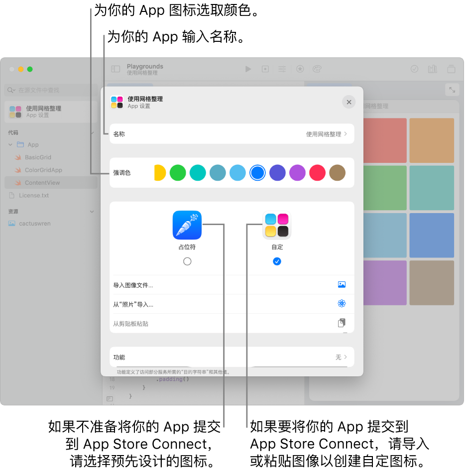 一个 App 的“App 设置”，显示 App 的名称以及可用于创建 App 图标的颜色和插图。