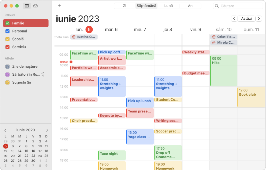 O fereastră Calendar în vizualizarea Lună prezentând calendare personale, profesionale, familiale și școlare cu coduri de culoare în bara laterală, sub antetul de cont iCloud.