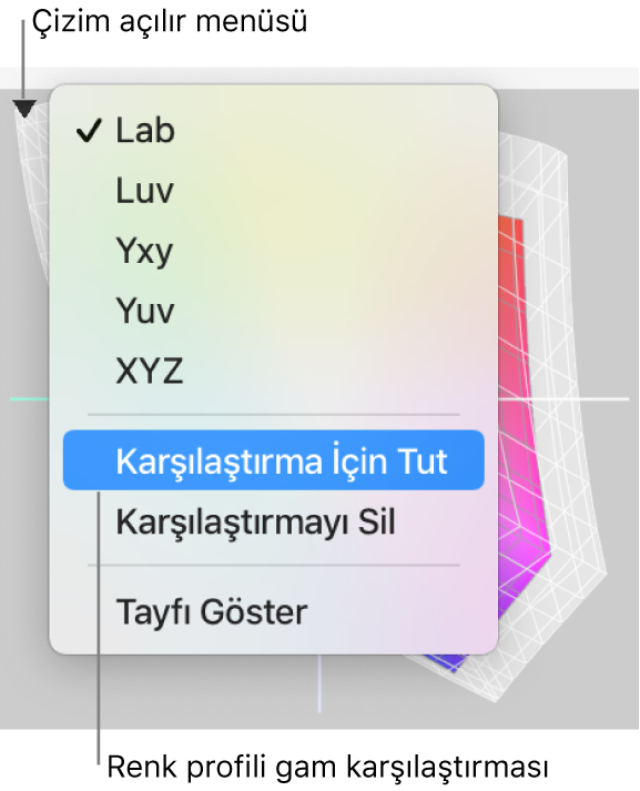 Sol üst köşede lab çizimi açılır menüsü.