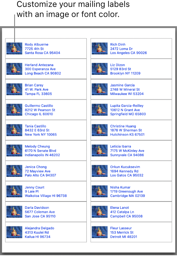 Print mailing labels, envelopes, and contact lists in Contacts on Mac -  Apple Support