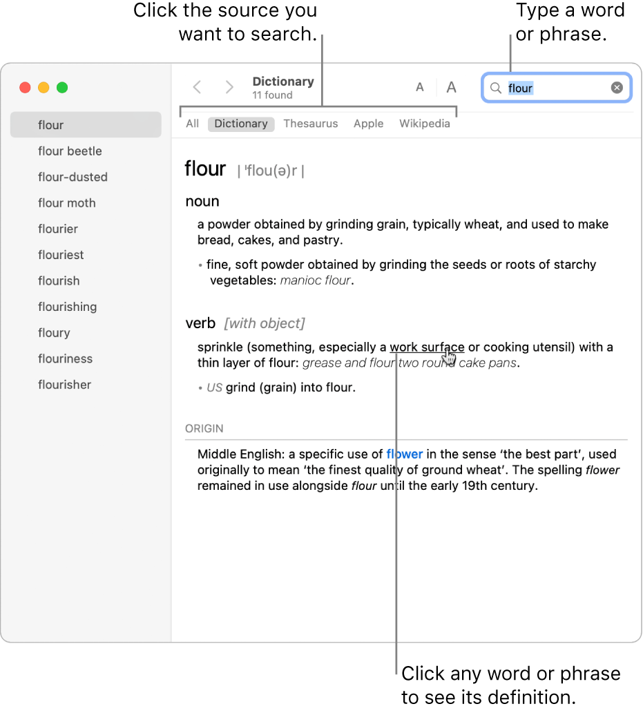 Literacy Synonym - Definition and Examples - Teaching Wiki