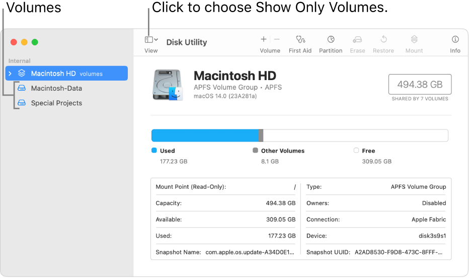 A Disk Utility window in show only volumes view.