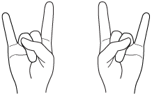 Two hands, both with the index and pinky fingers extended.