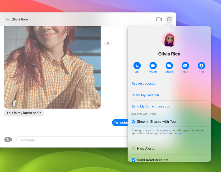 Info view, which appears after you click the Info button in a conversation, showing the call, video and screen sharing buttons below a person’s name.