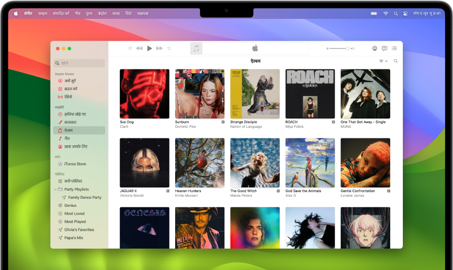 ऐल्बम की लाइब्रेरी वाली Apple Music विंडो।