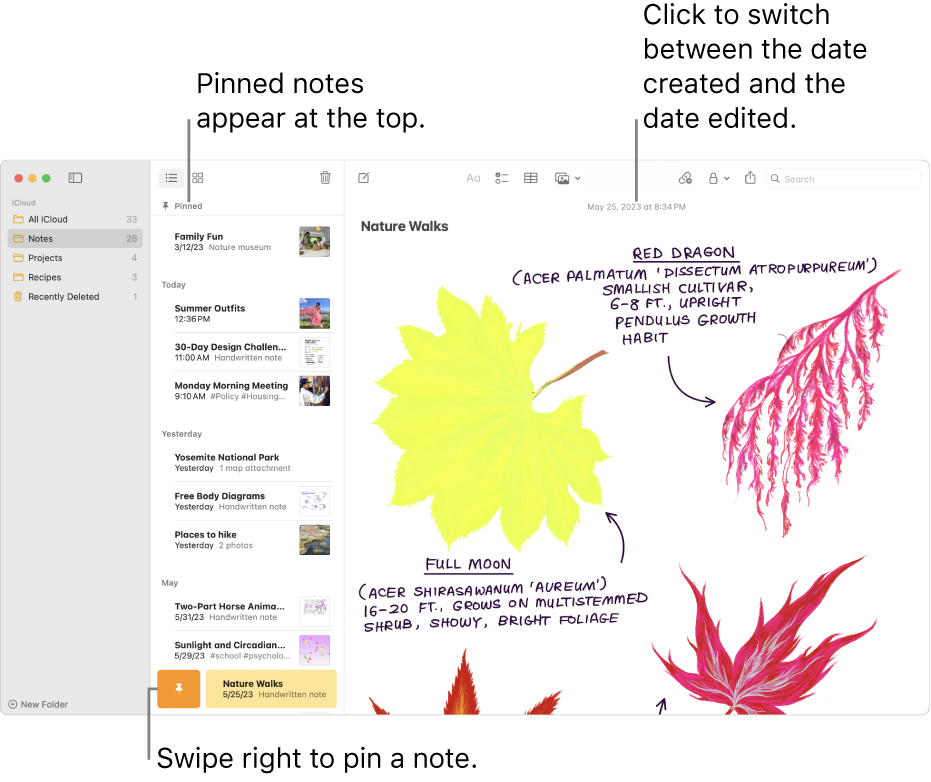 Import your notes and files to the Notes app - Apple Support