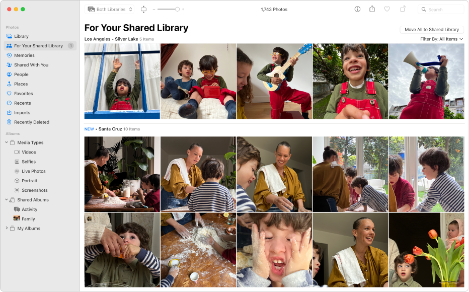 The Photos window showing suggested photos to add to a Shared Library.