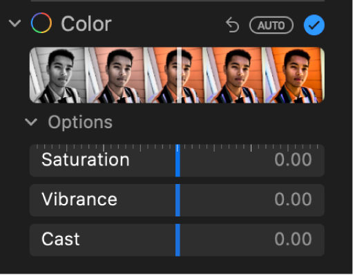 The Color area of the Adjust pane showing sliders for Saturation, Vibrance, and Cast.