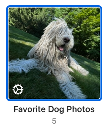 名稱為「喜愛的狗狗照片」的「智慧型相簿」縮覽圖。