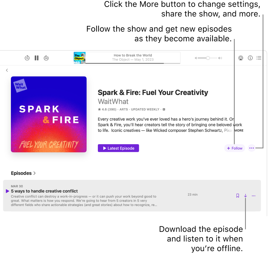 An information page for a podcast. Click Follow to get new episodes as they become available. Click the More button to change settings, share the show, and more. Filter episodes by season or category. Download the episode if you want to listen to it when you’re not connected to the internet.