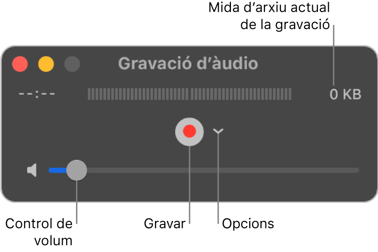 La finestra de gravació d’àudio, amb el botó Gravar i el menú desplegable Opcions al centre de la finestra i el control de volum a la part inferior.