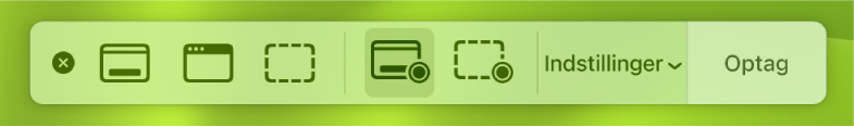 Skærmbilledværktøjer med knappen Optag til højre og lokalmenuen Indstillinger ved siden af.