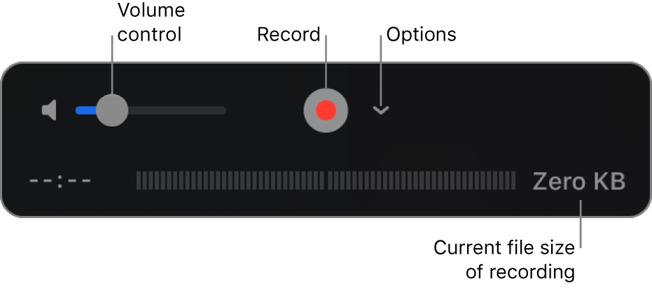 The recording controls, including the volume control, the Record button,and the Options pop-up menu.
