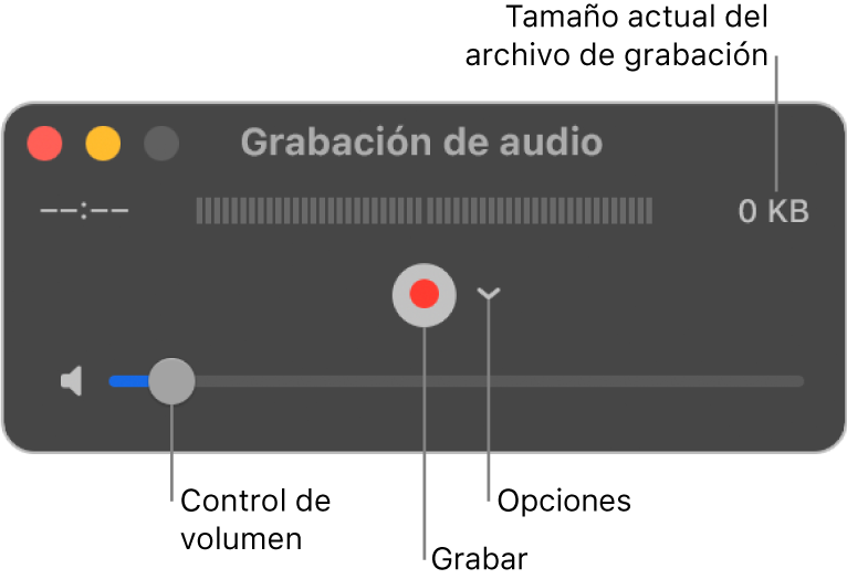 La ventana "Grabación de audio" con el botón Grabar, el menú desplegable Opciones en el centro de la ventana y el control de volumen en la parte inferior.