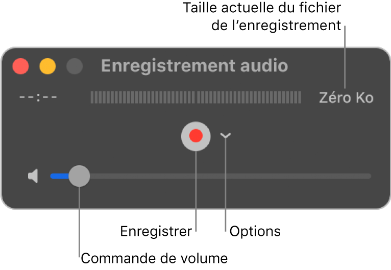 La fenêtre d’enregistrement audio avec le bouton Enregistrer et le menu contextuel Options au centre de la fenêtre, et le contrôle du volume en bas.