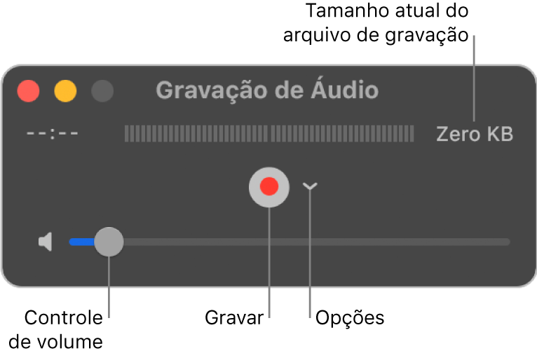 A janela da Gravação de Áudio com o botão Gravar, o menu local Opções no centro da janela e controle de volume na parte inferior.