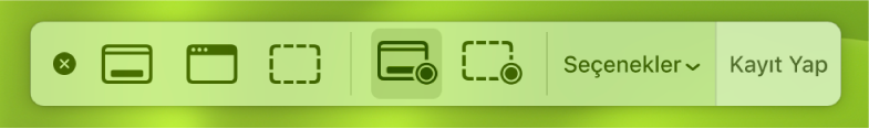Sağda Kayıt Yap düğmesi ile ekran resmi araçları ve yanında Seçenekler açılır menüsü.