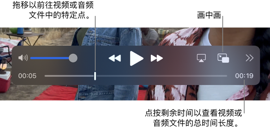 QuickTime Player 播放控制。顶部是音量控制、“倒回”按钮、“播放/暂停”按钮、“快进”按钮、“选取显示器”按钮、“画中画”按钮、以及“共享”和“播放速度”按钮。底部是播放头，拖移可前往文件中的特定点。文件的剩余时间显示在右下方。