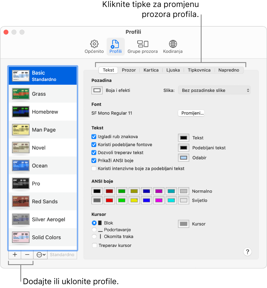 Prozor Profili Terminala s odabranim Osnovnim profilom, tipke za dodavanje i uklanjanje profila i tipke za zamjenu prozora profila.