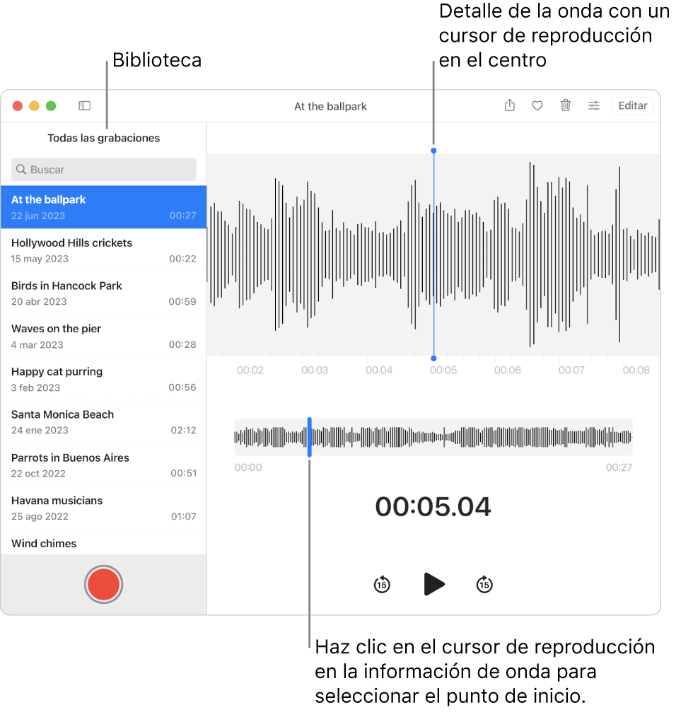 La app Notas de Voz mostrando las grabaciones en la biblioteca disponible a la izquierda. La grabación seleccionada aparece en la ventana a la derecha de la lista, como un detalle en forma de onda con un cursor de reproducción en el centro. Debajo de la grabación está la vista general de la forma de onda.