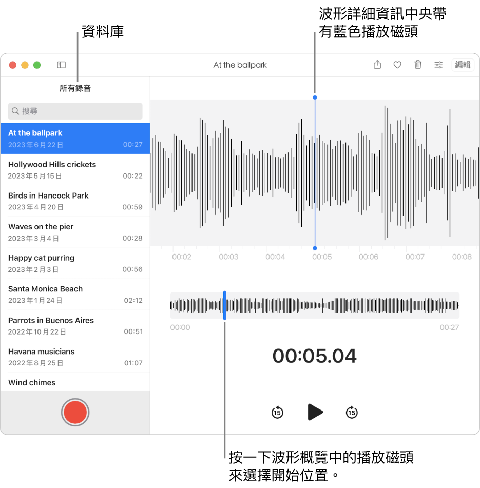 「語音備忘錄」App 在左方資料庫中顯示錄音。所選錄音顯示在列表右方的視窗中，中間有藍色播放磁頭的波形詳細資訊。錄音下方為波形概覽。