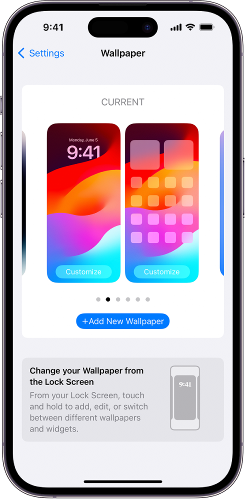 The Wallpaper Settings screen, with buttons for customizing the current wallpaper on the Home Screen and Lock Screen, and the Add New Wallpaper button for changing the wallpaper.