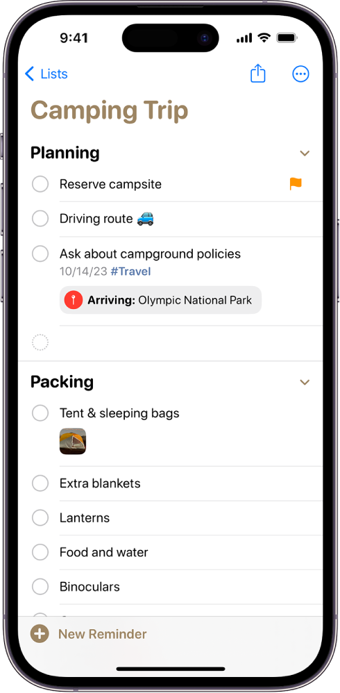 A checklist for a camping trip in Reminders. Some items have tags, locations, flags, and photos. The New Reminder button is at the bottom left.