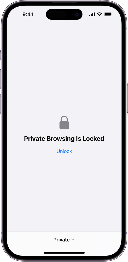 „Safari“ atidaryta atlikti „Private Browsing“. Ekrano centre yra užrašas „Private Browsing Is Locked“ (privatus naršymas užrakintas). Po juo yra mygtukas „Unlock“.