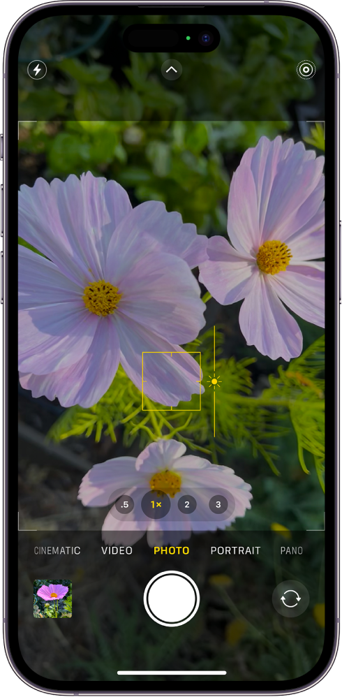 App Câmera no modo Foto. No visor, o foco está bloqueado em um tema e um controle deslizante para ajustar o nível do brilho está ao lado do tema.