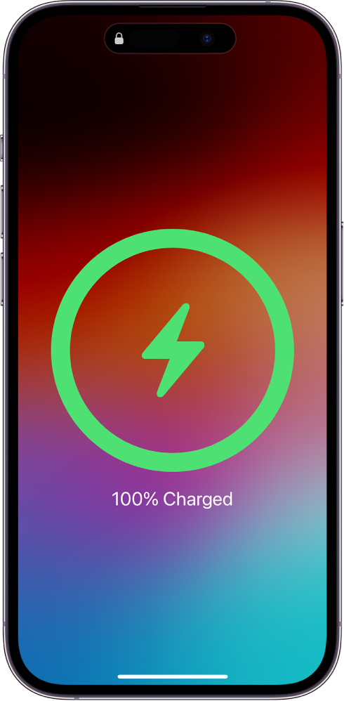 Екран iPhone з індикатором 100%-ого заряду батареї.