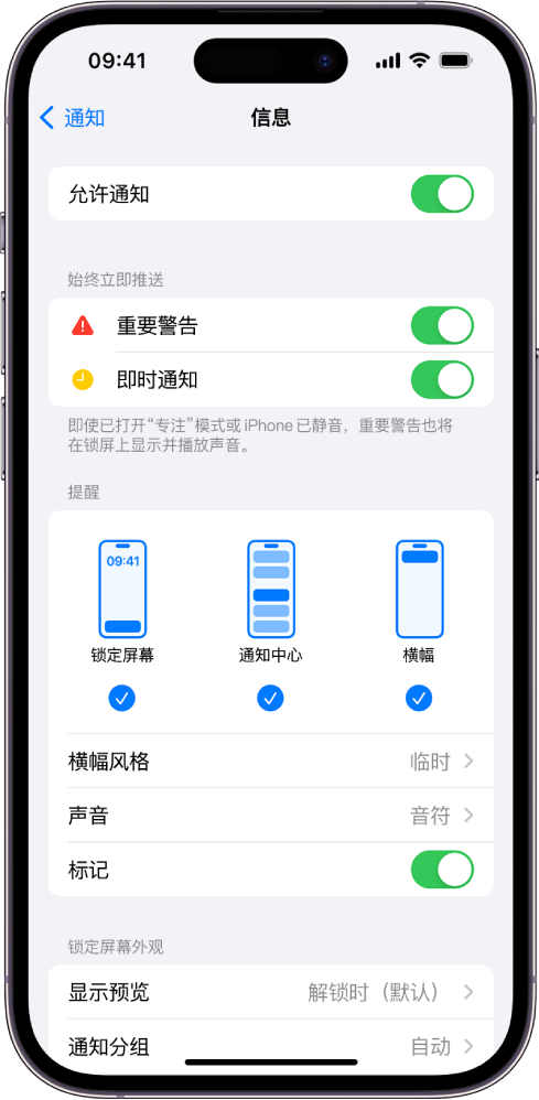 iPhone 显示针对通知和提醒的“信息”设置。