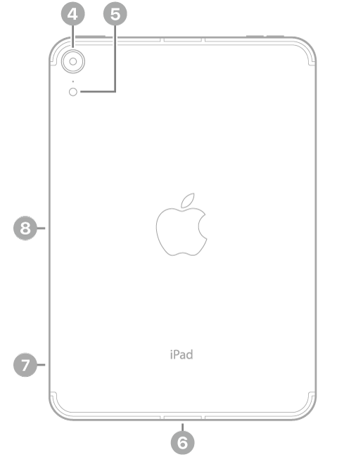 Az iPad mini hátulnézete, amelyen a feliratok a bal felső részen lévő hátsó kamerára és a vakura, a készülék aljának közepén lévő USB-C-csatlakozóra, a bal alsó részen lévő SIM-tálcára (Wi-Fi + Cellular), valamint az Apple Pencil bal oldalon lévő mágneses csatlakozójára mutatnak.