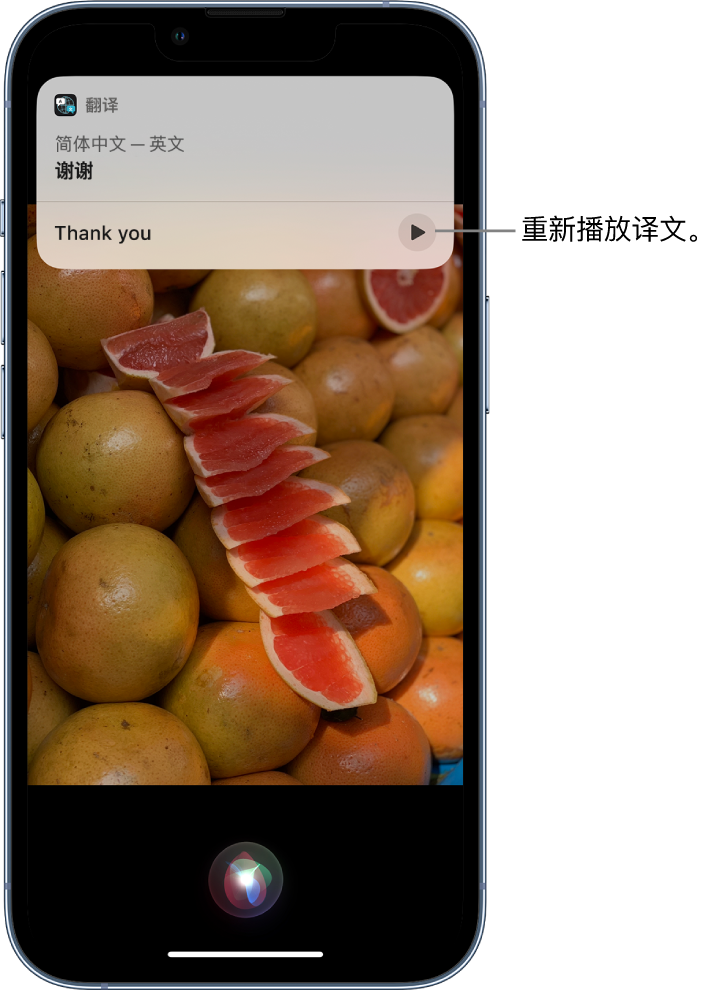 Siri 显示普通话“谢谢”对应的英文翻译。译文底部的按钮，用于重新播放译文的音频。
