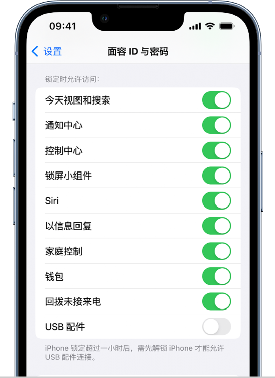 “面容 ID 与密码”屏幕，显示 iPhone 锁定时允许访问特定功能的设置。