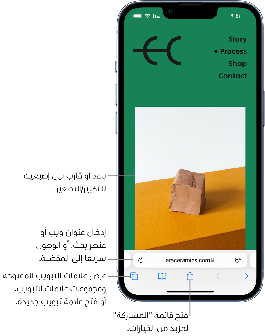 موقع ويب مفتوح في سفاري، ويظهر حقل العنوان في الجزء السفلي. في الجزء السفلي، من اليمين إلى اليسار، تظهر أزرار الخلف، والأمام، والمشاركة، والإشارات المرجعية، وعلامات التبويب.