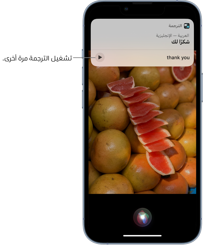 يعرض Siri ترجمة العبارة العربية "شكرًا لك" بالإنجليزية. يوجد زر في أسفل الترجمة يُعيد تشغيل صوت الترجمة.