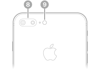 عرض للجزء الخلفي من الـ iPhone 8 Plus. توجد الكاميرات الخلفية والفلاش في أعلى اليسار.